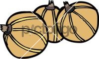ClementineFreehand Image